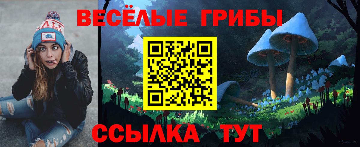 Галлюциногенные грибы мицелий  Вход с VPN  Тара 