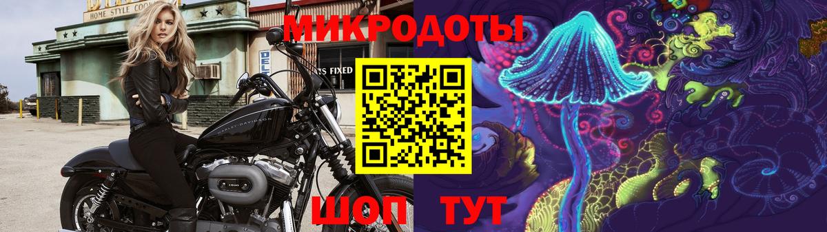 Галлюциногенные грибы Cubensis Тара